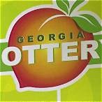 georgia lottery winning